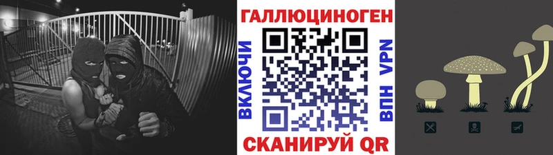 omg зеркало  Выкса  Галлюциногенные грибы GOLDEN TEACHER 
